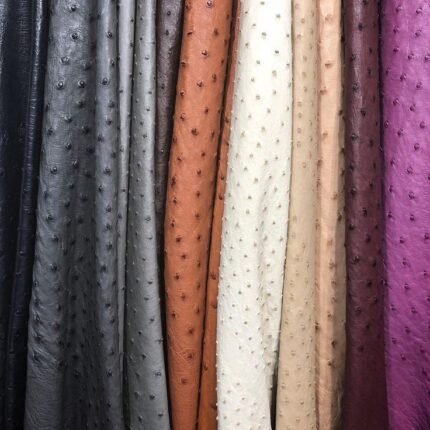 Embossed Leather BLI-002606