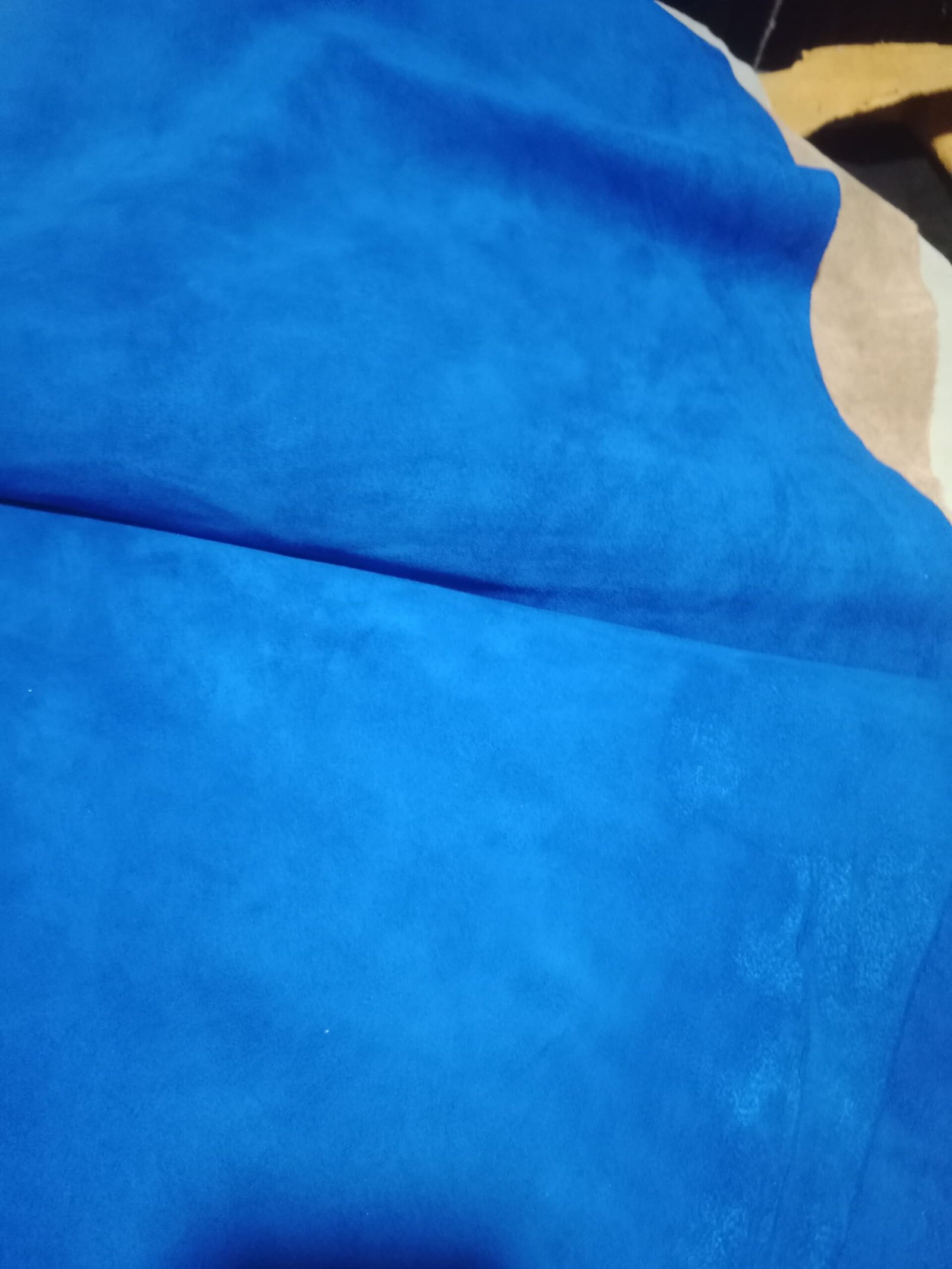 IMG-20251214-WA0016